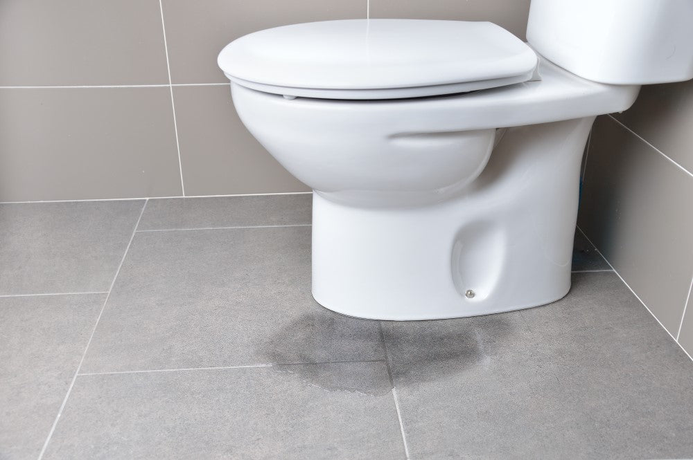 Bathroom Flood Risks: Prevention and Mold Considerations