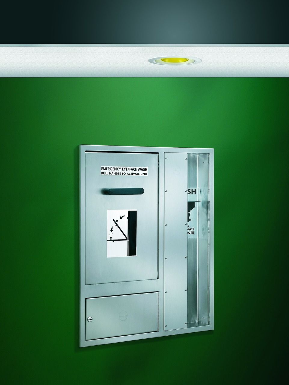 Safety Shower with Eye/Facewash, Combination Units, S19345JFBT