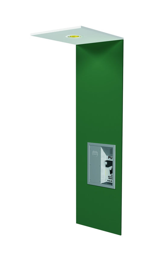 Safety Shower, BF, Ceiling Mount, Drench Showers, S19-125FMBF